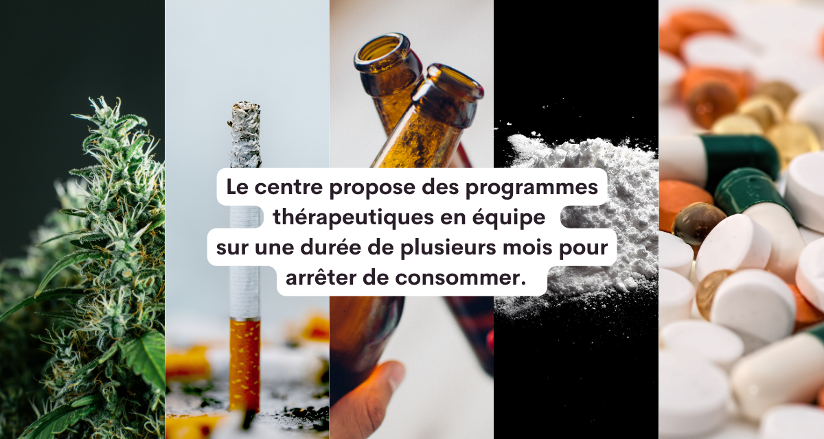 Programmes multidisciplinaires intégrés